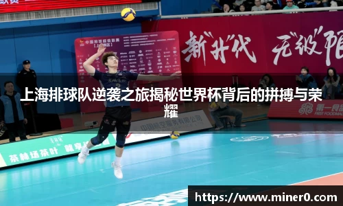 上海排球队逆袭之旅揭秘世界杯背后的拼搏与荣耀
